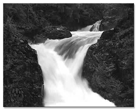 Casanueva_P173