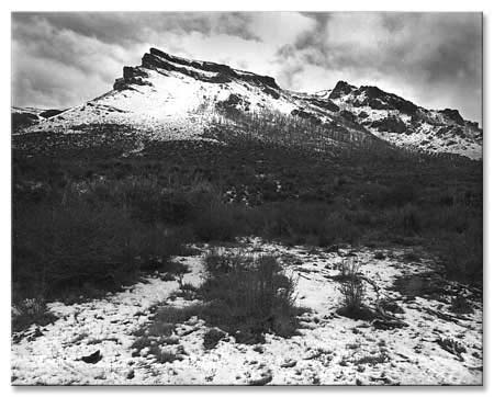 Casanueva_P214